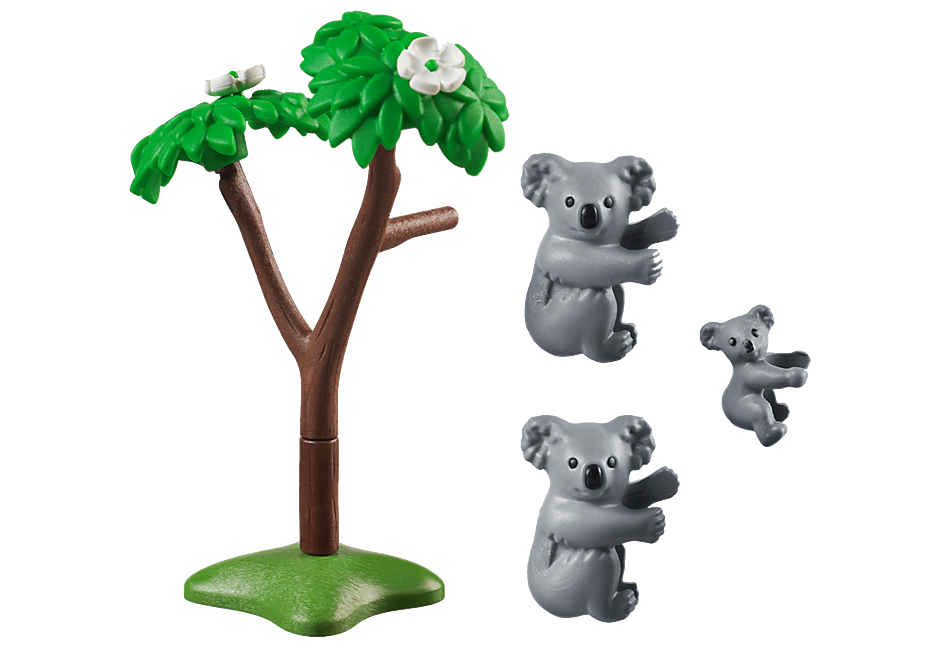 Koalas Con Bebe Koalas Con Bebe