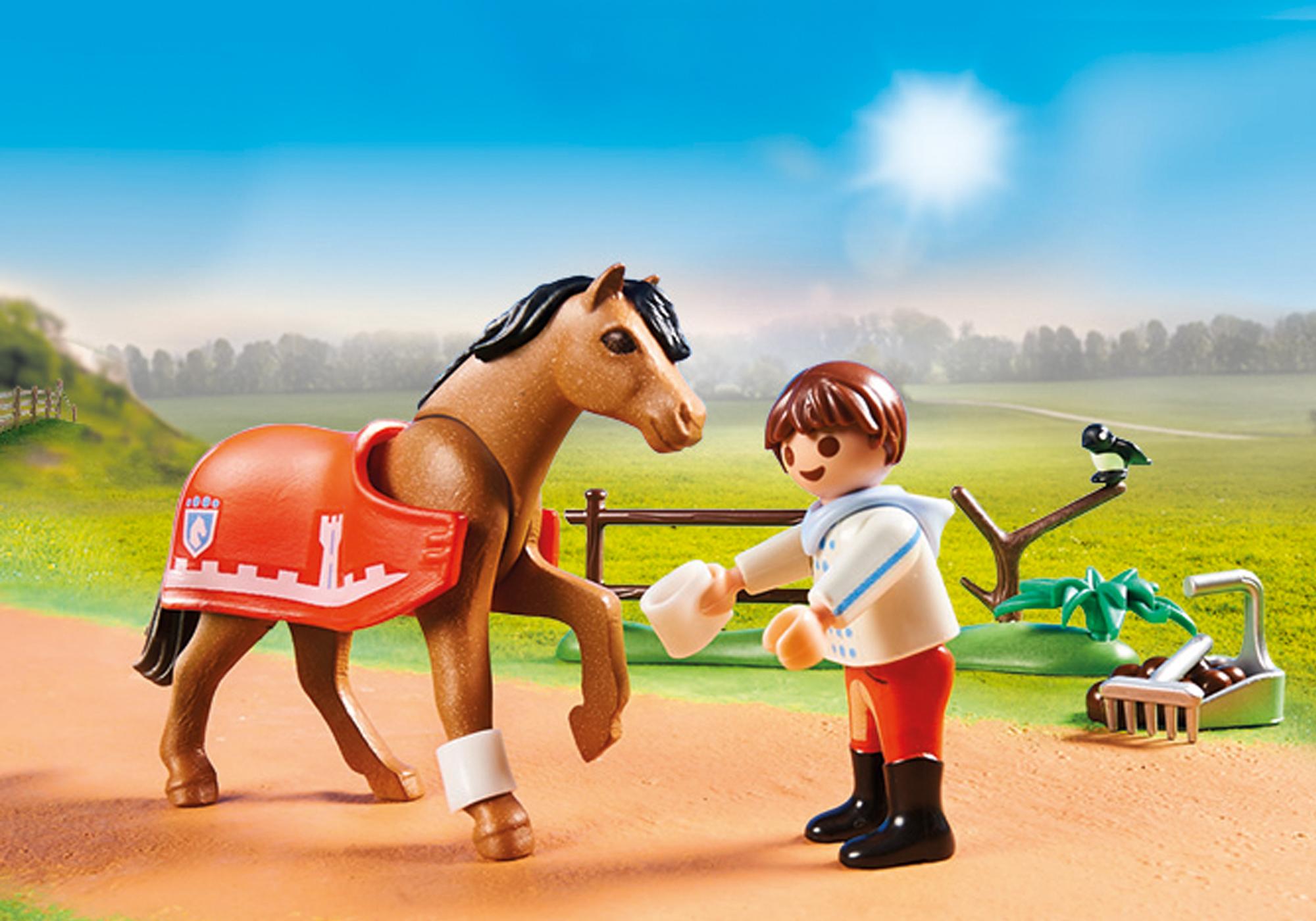 https://media.playmobil.com/i/playmobil/70516_product_extra1