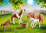 70682 Ponies with Foals
