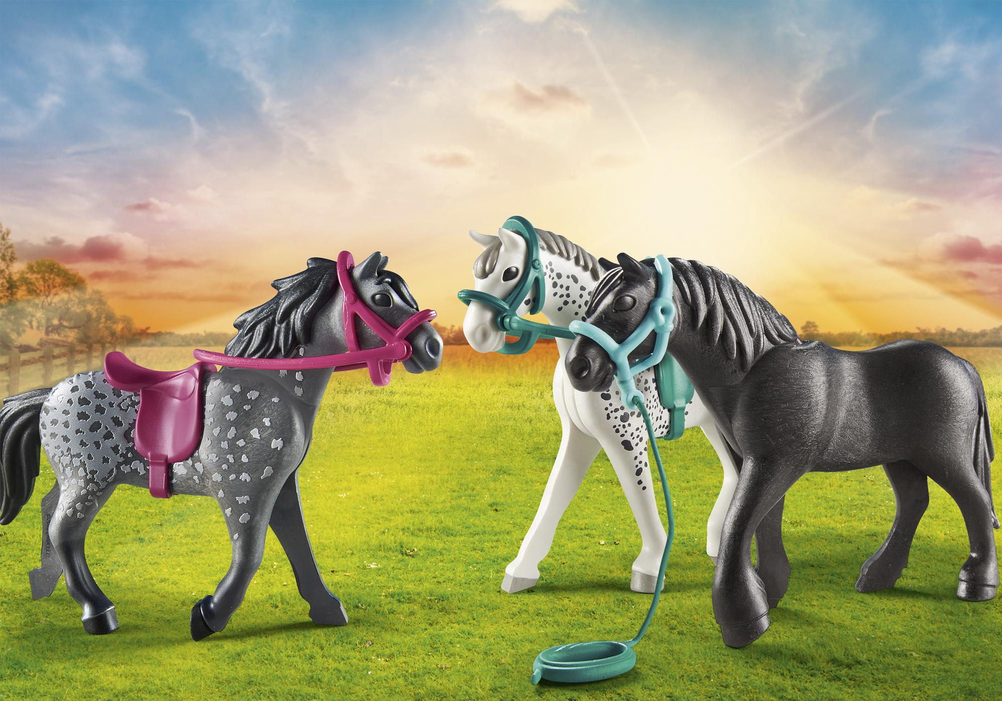 https://media.playmobil.com/i/playmobil/70999_product_detail