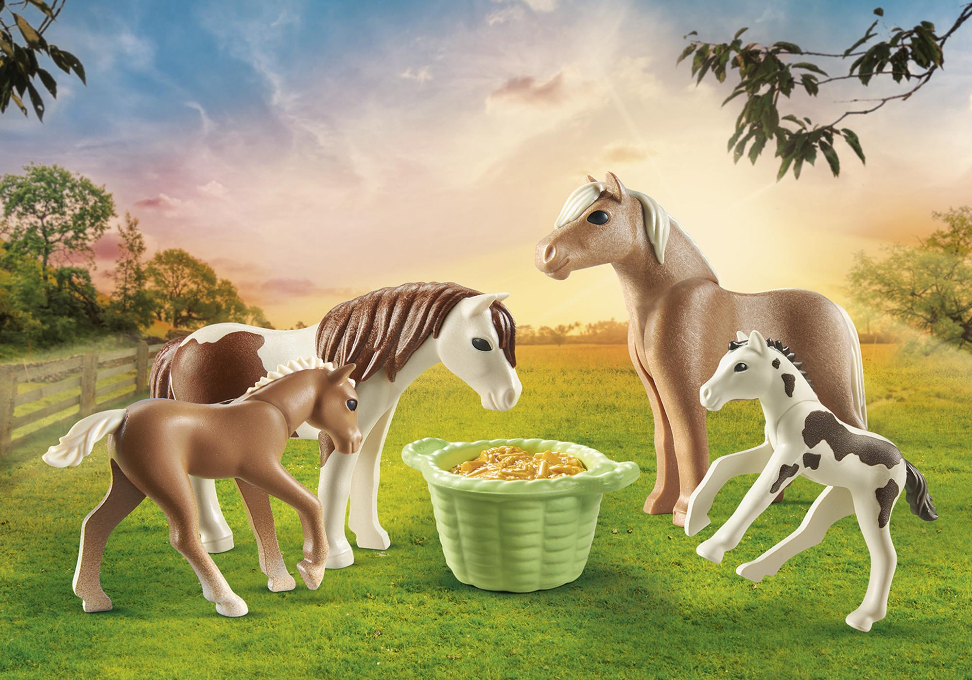 https://media.playmobil.com/i/playmobil/71000_product_detail