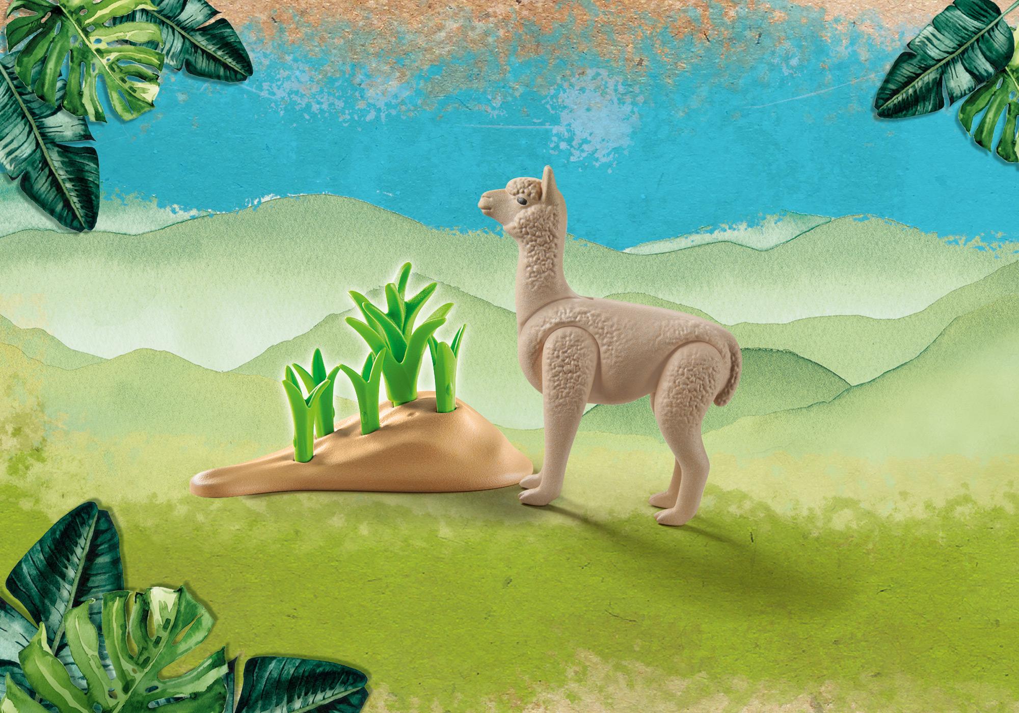 https://media.playmobil.com/i/playmobil/71062_product_detail