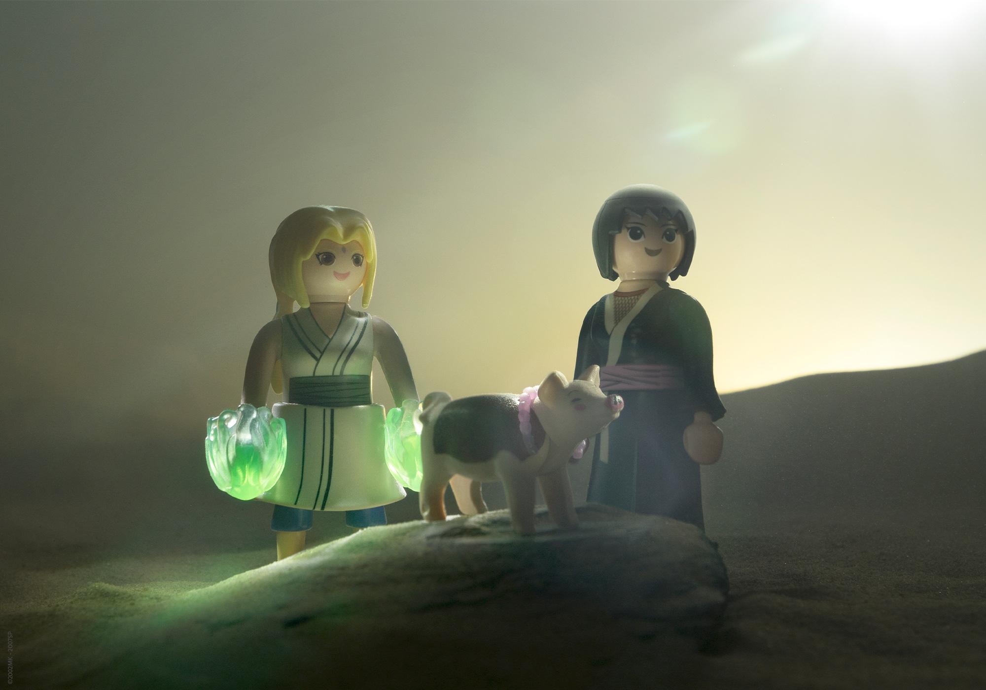 https://media.playmobil.com/i/playmobil/71114_product_extra1
