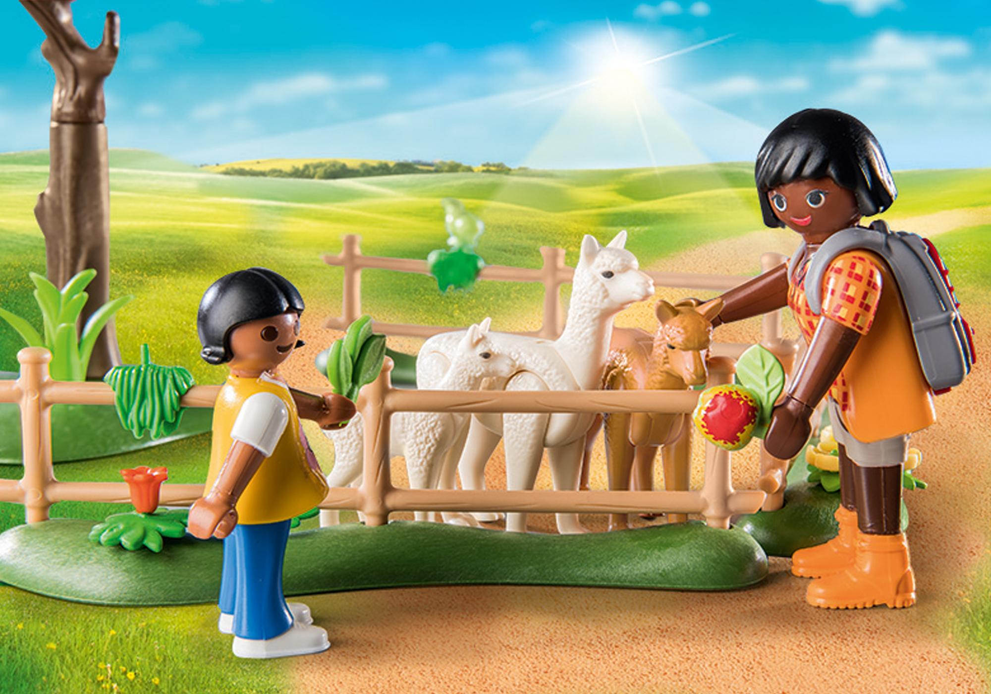 https://media.playmobil.com/i/playmobil/71251_product_extra1