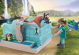 https://media.playmobil.com/i/playmobil/71352_product_extra2