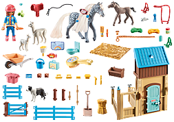 https://media.playmobil.com/i/playmobil/71353_product_box_back