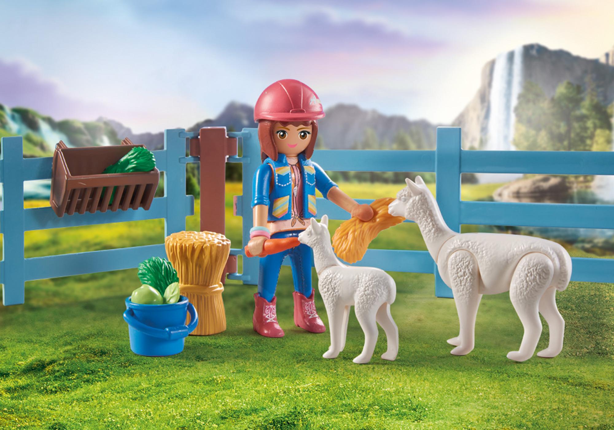 https://media.playmobil.com/i/playmobil/71353_product_extra1
