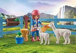 https://media.playmobil.com/i/playmobil/71353_product_extra1