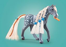 https://media.playmobil.com/i/playmobil/71353_product_extra4