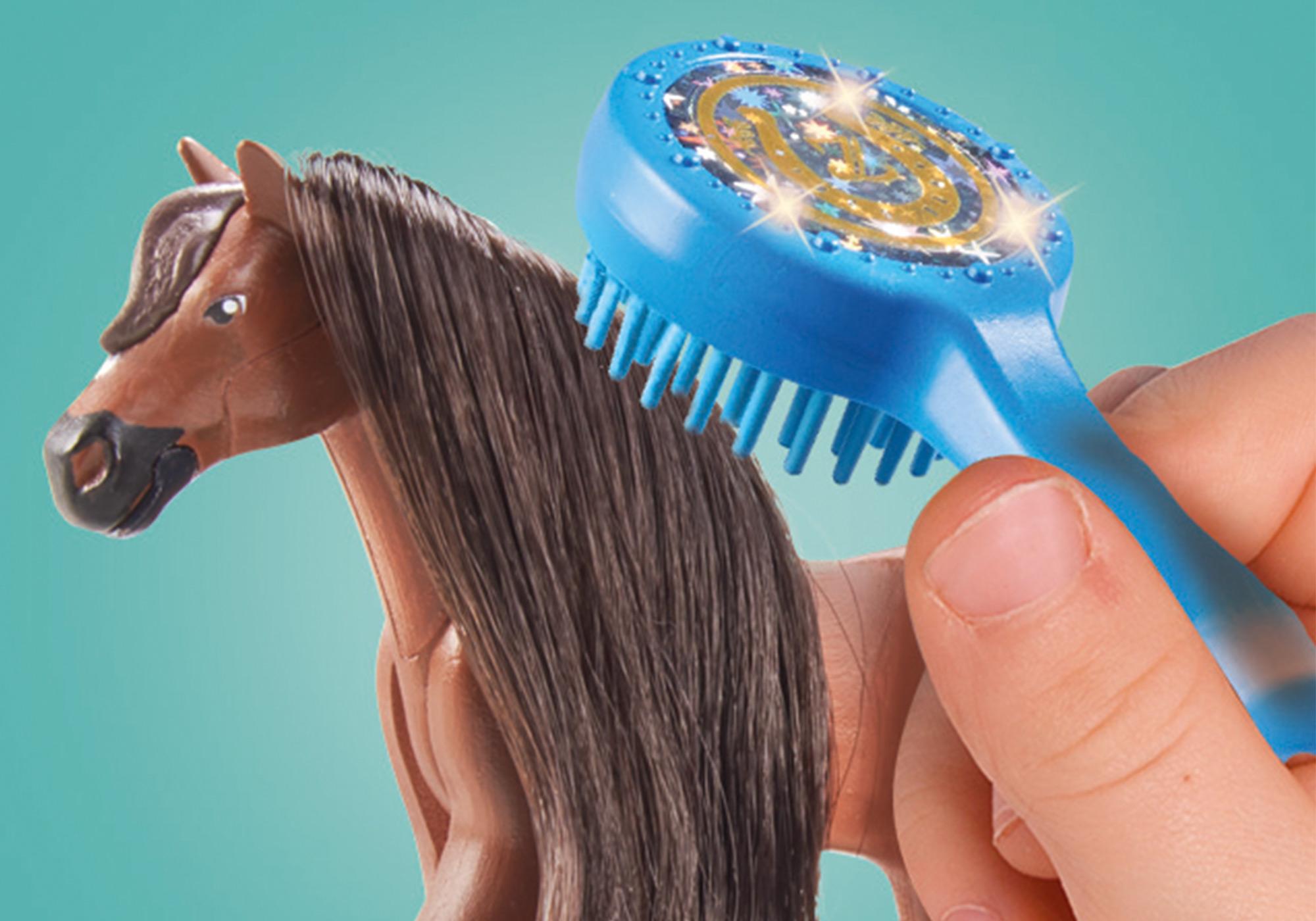 https://media.playmobil.com/i/playmobil/71355_product_extra1