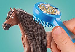 https://media.playmobil.com/i/playmobil/71355_product_extra1