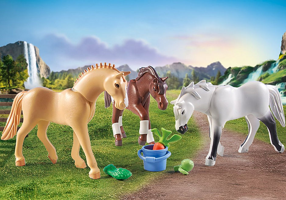 71356 Tre hästar: En Morganhäst, en Quarterhäst och Shagya-arab detail image 5