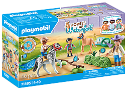 https://media.playmobil.com/i/playmobil/71495_product_box_front