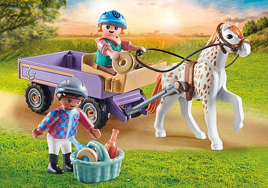 Pony carriage  Pony carriage