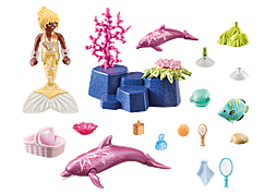 https://media.playmobil.com/i/playmobil/71501_product_box_back