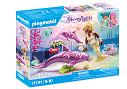 https://media.playmobil.com/i/playmobil/71501_product_box_front