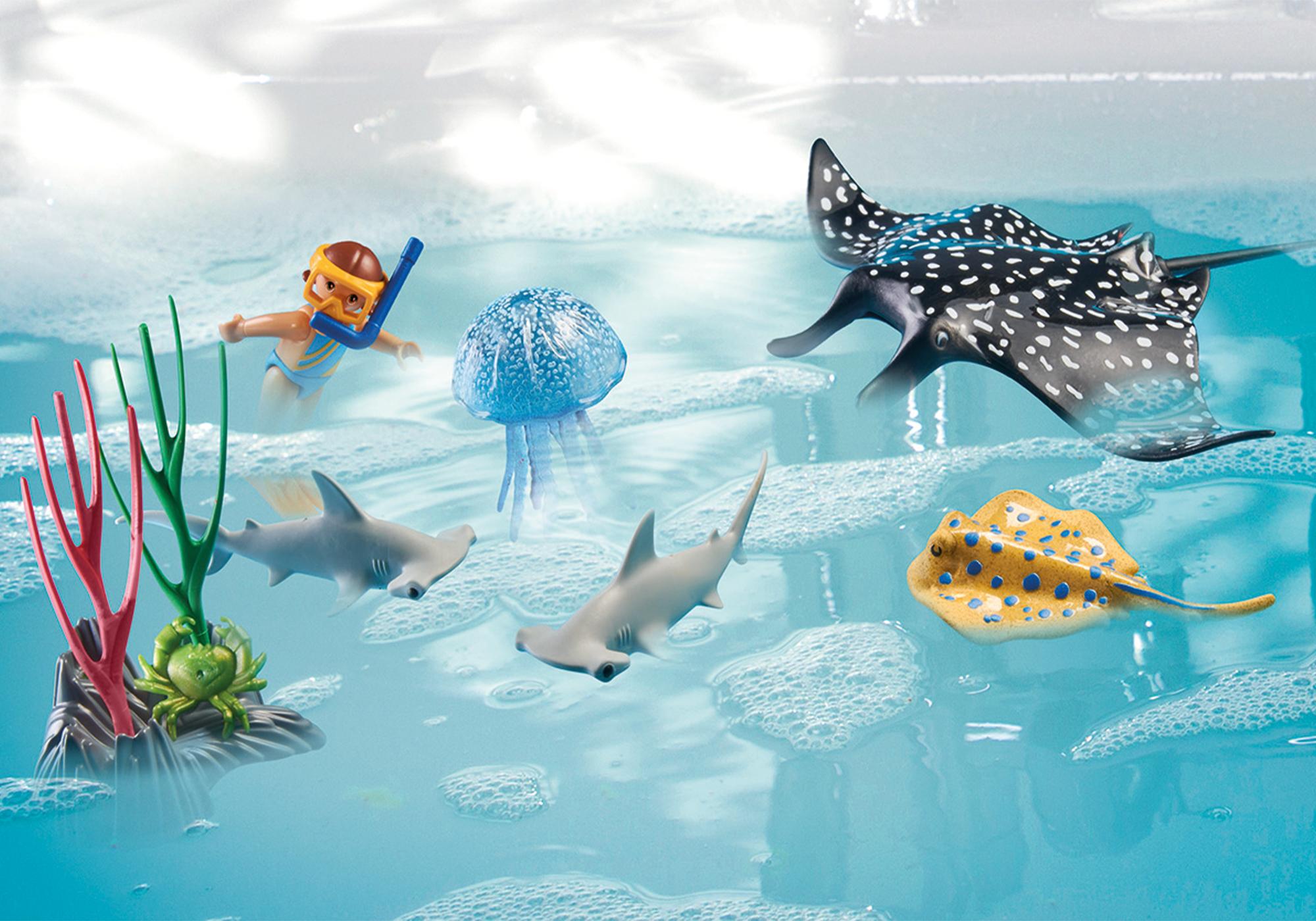https://media.playmobil.com/i/playmobil/71623_product_extra2