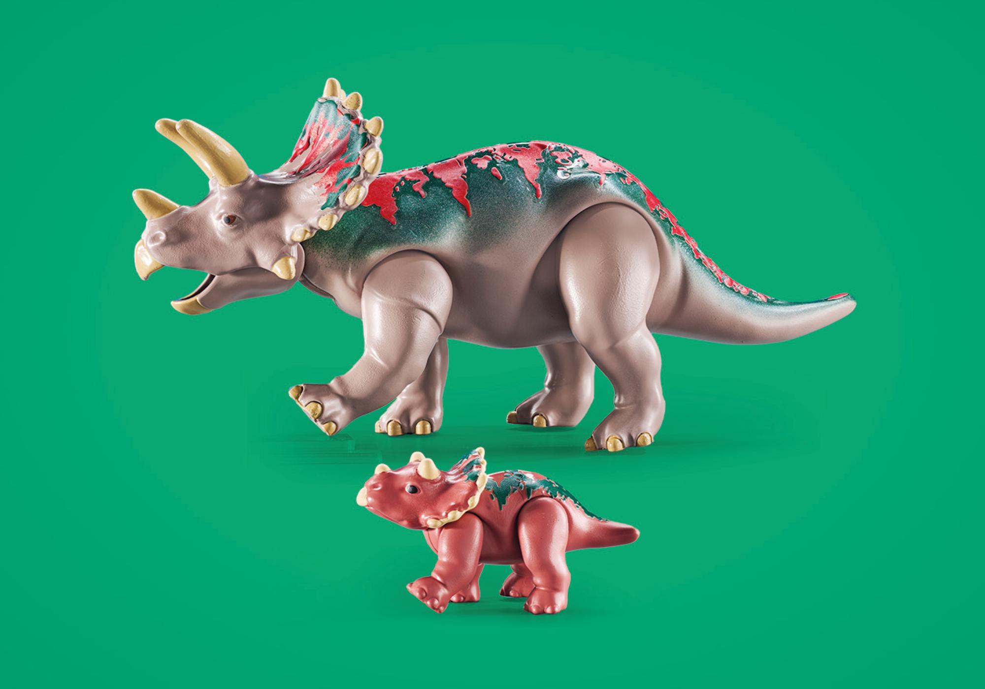 https://media.playmobil.com/i/playmobil/71821_product_extra3