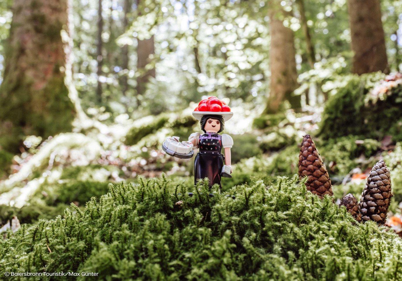 https://media.playmobil.com/i/playmobil/71979_pdp_1