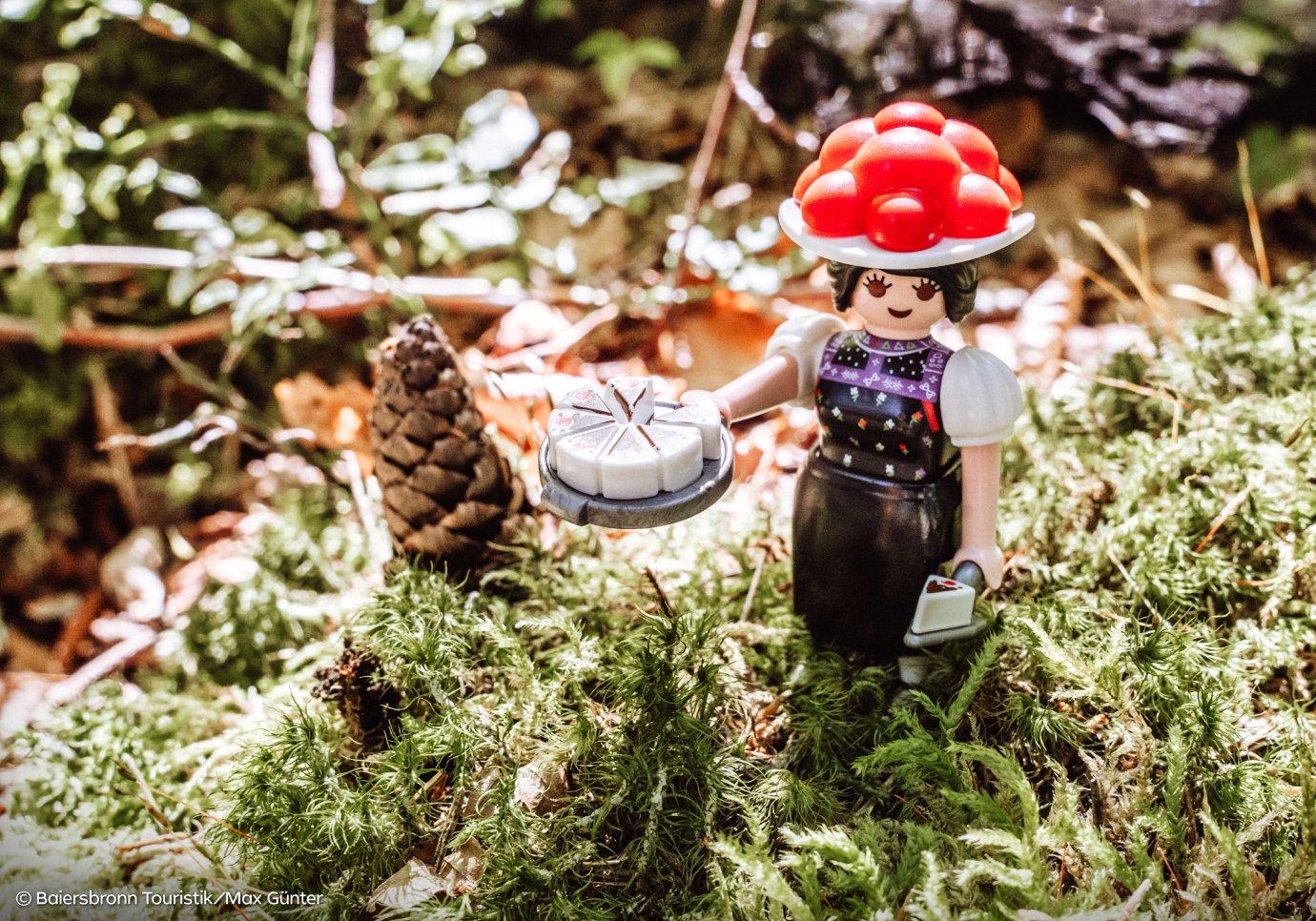https://media.playmobil.com/i/playmobil/71979_pdp_2
