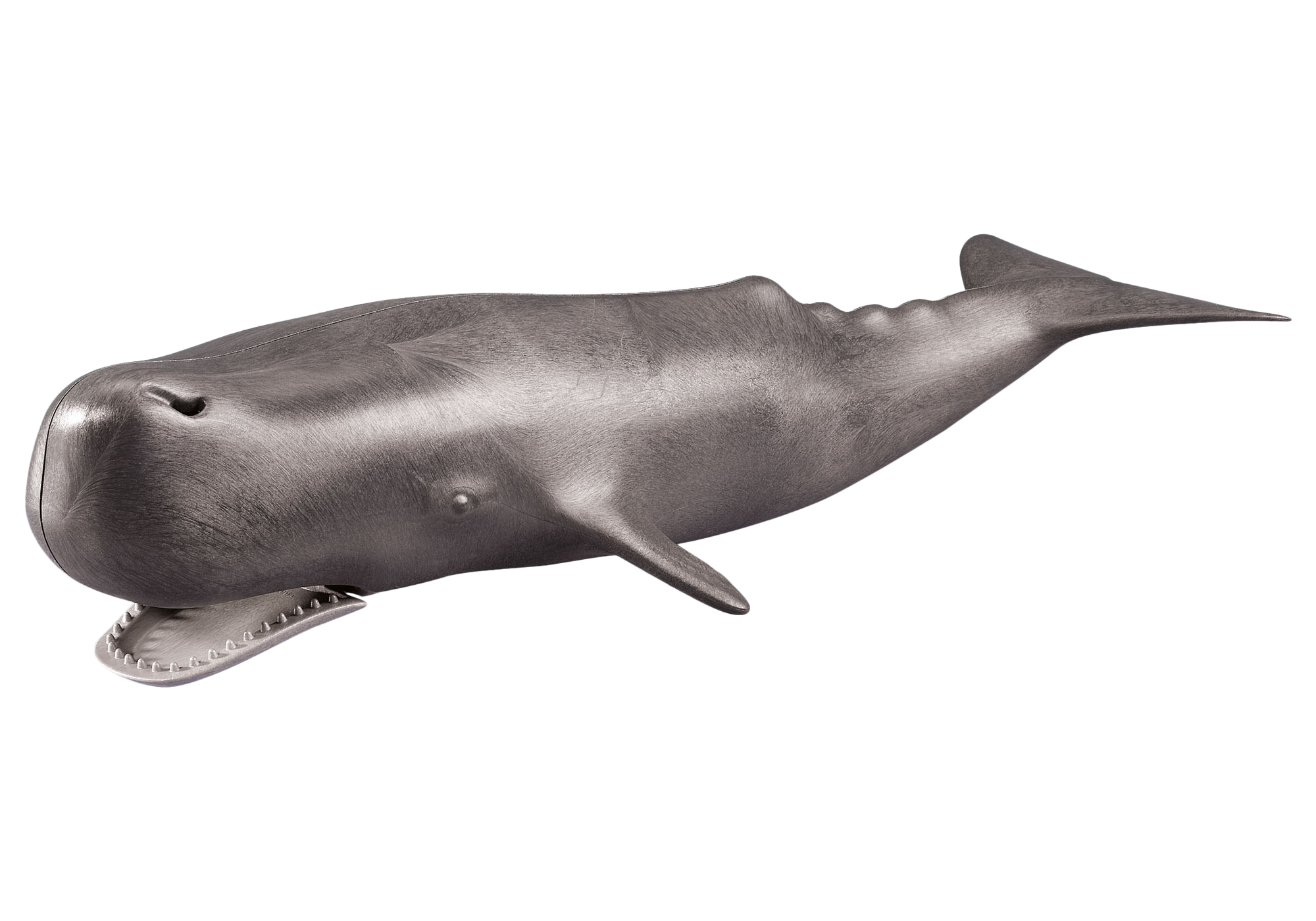 playmobil orca whale