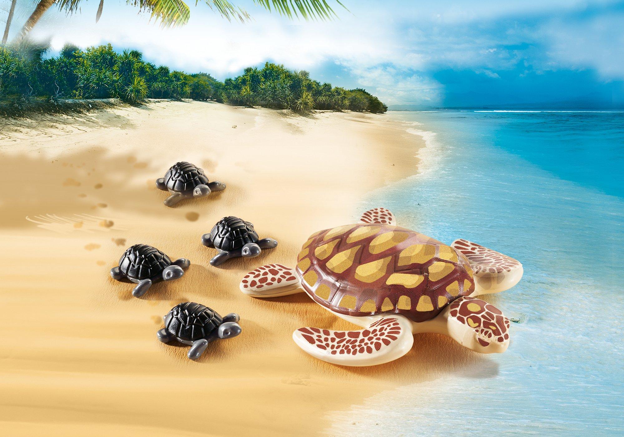 https://media.playmobil.com/i/playmobil/9071_product_detail