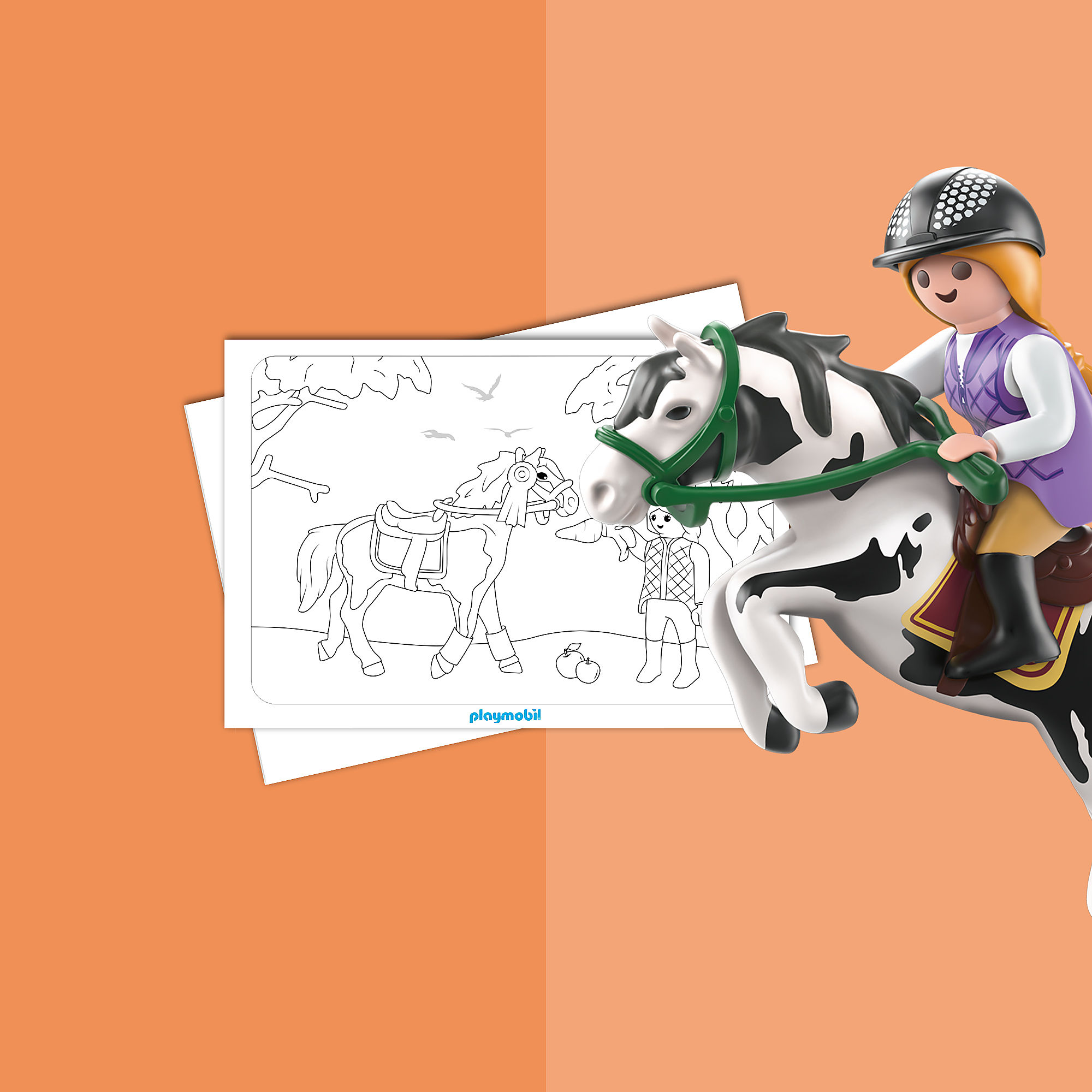 Playmobil Country - Le Club d'équitation - Achat / Vente Playmobil