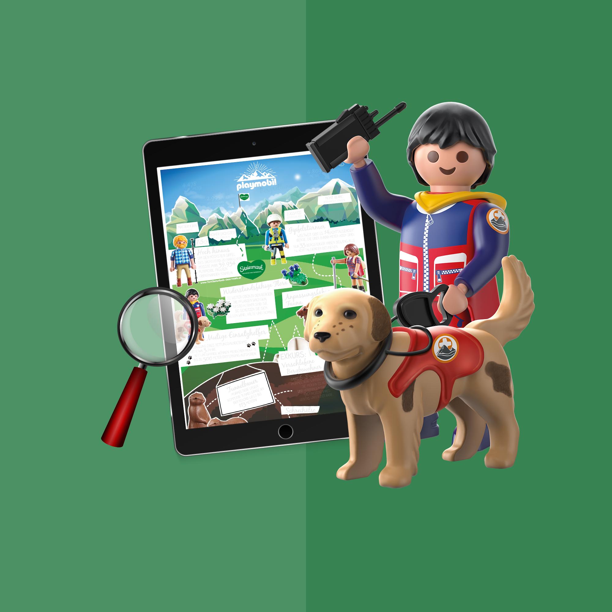 PLAY_INFO_ACTION_MOUNTAINRESCUE_2017_01