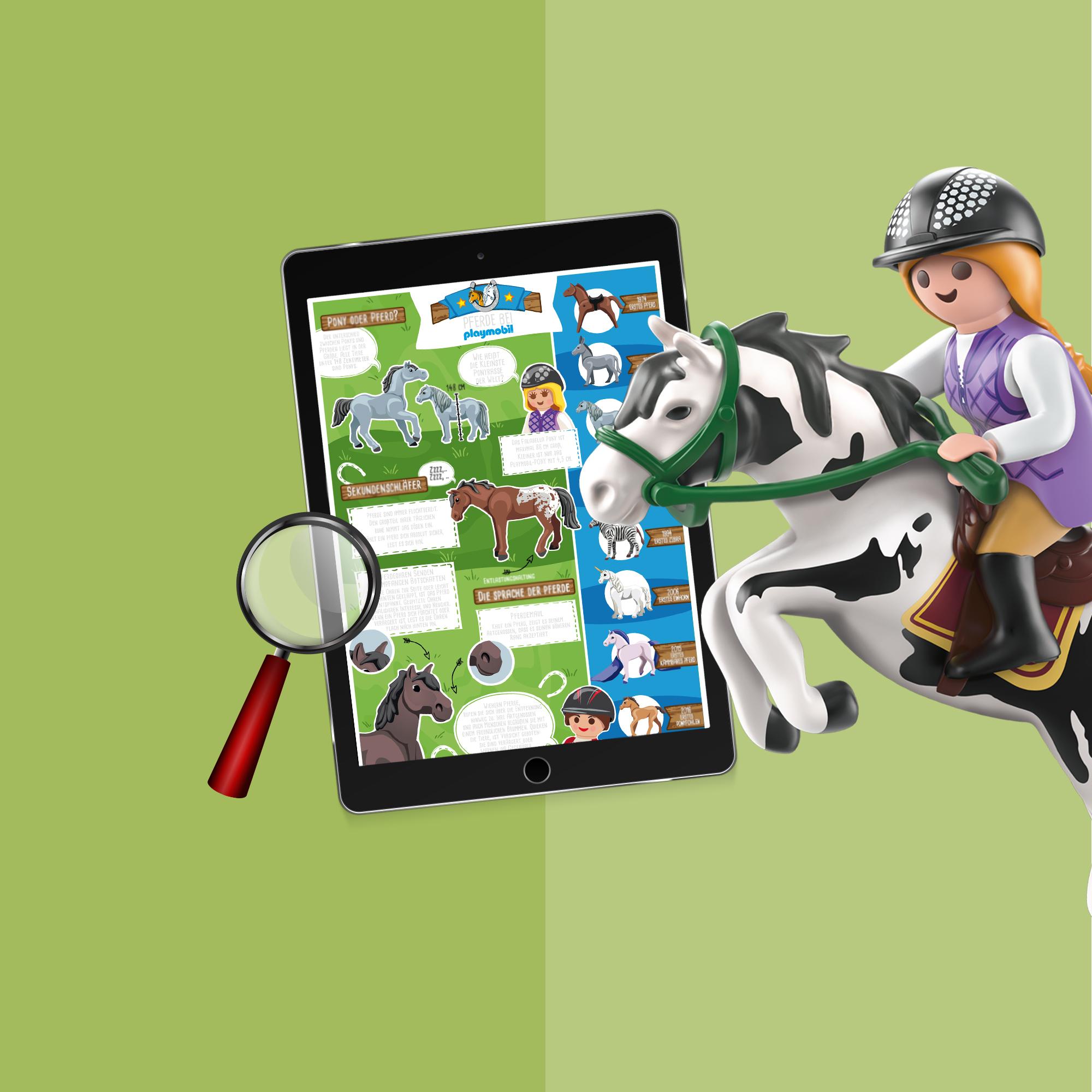 PLAY_INFO_COUNTRY_HORSEFARM_2017_01