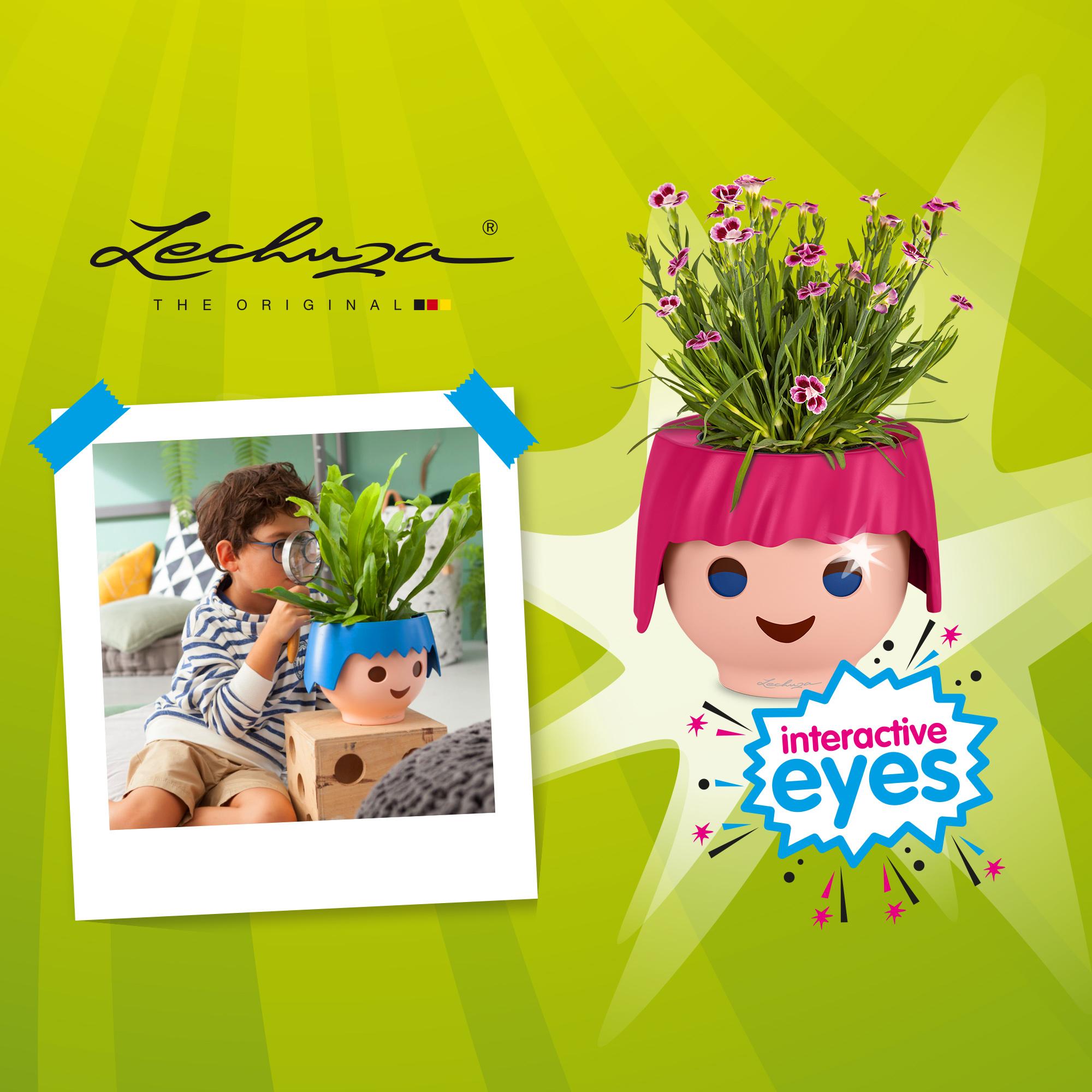 Come and find the combination of Playmobil und Lechuza - The Playmorized OJO