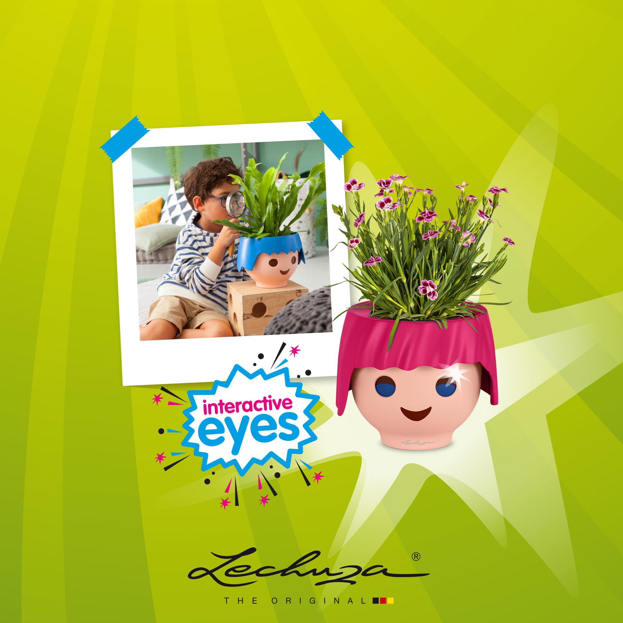 Come and find the combination of Playmobil und Lechuza - The Playmorized OJO