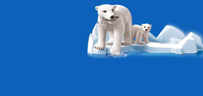 Para amantes de animais