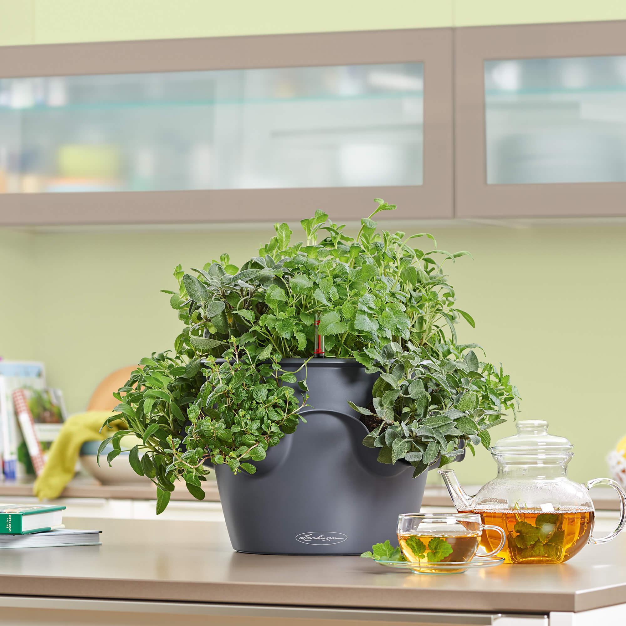 40+ Pflanzgefäße Für Kräuter, Von gartentöpfen bis zu