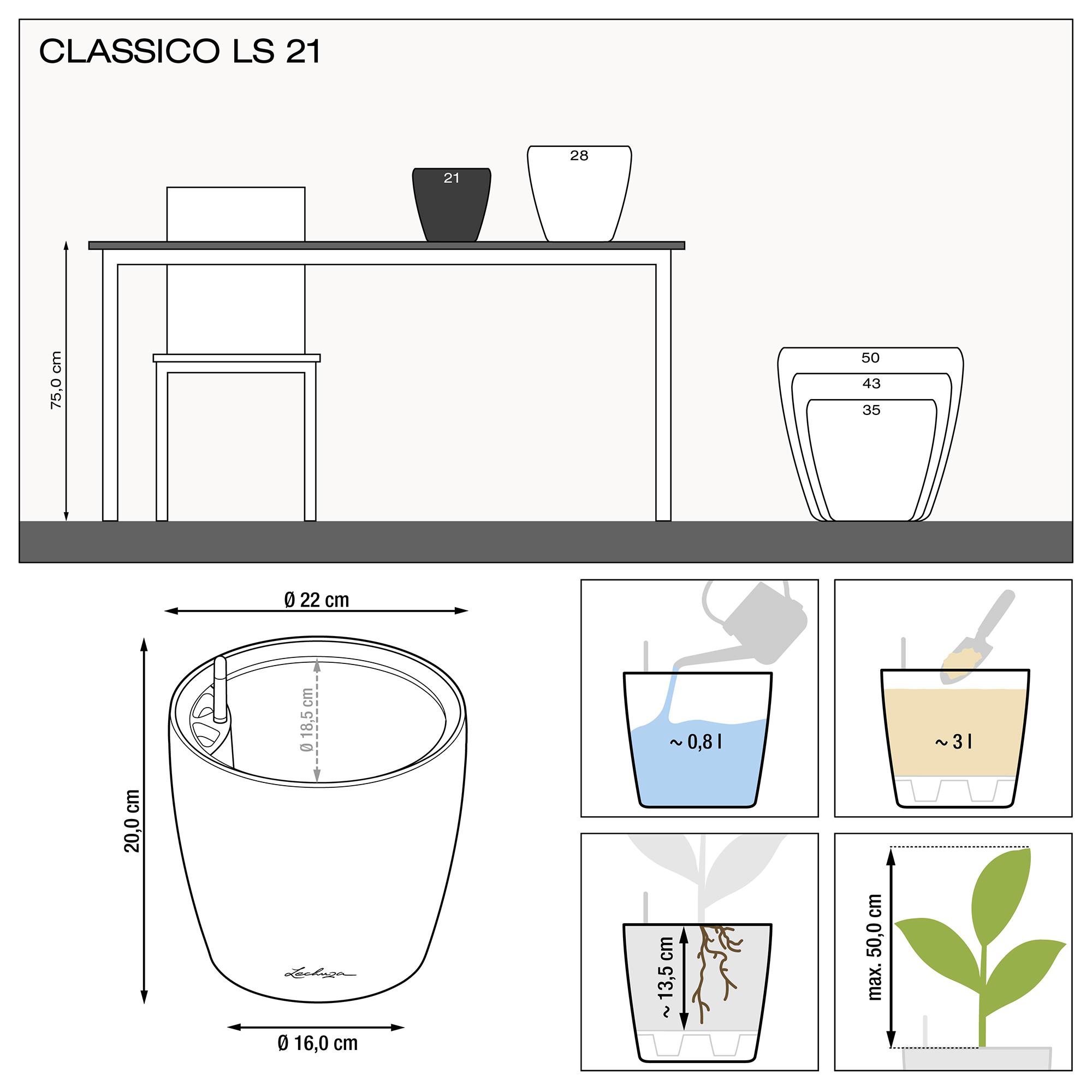 le_classico-ls21_product_addi_nz