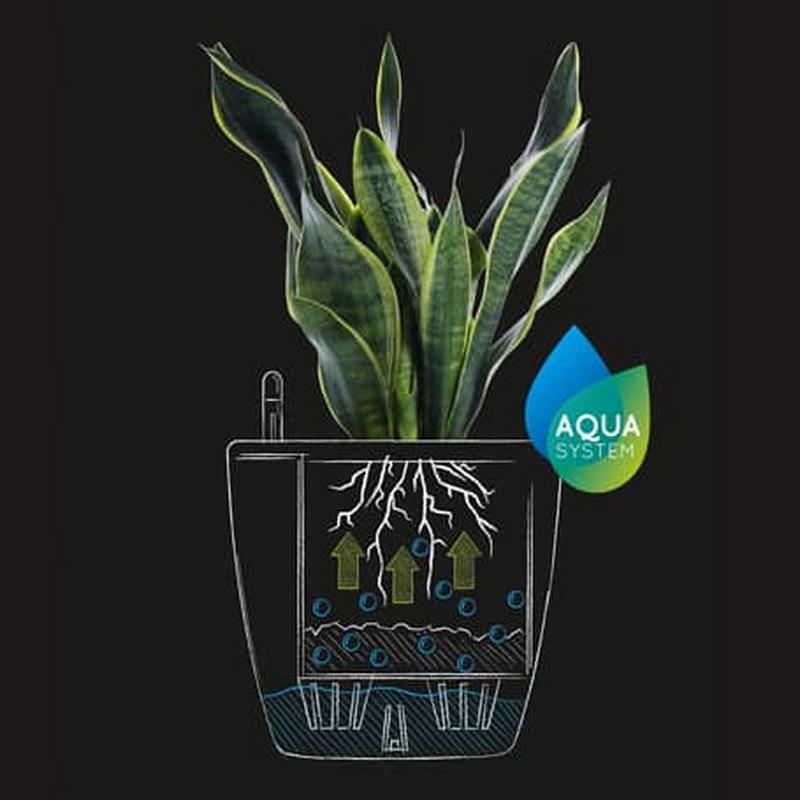 LECHUZA Self-Watering Planters