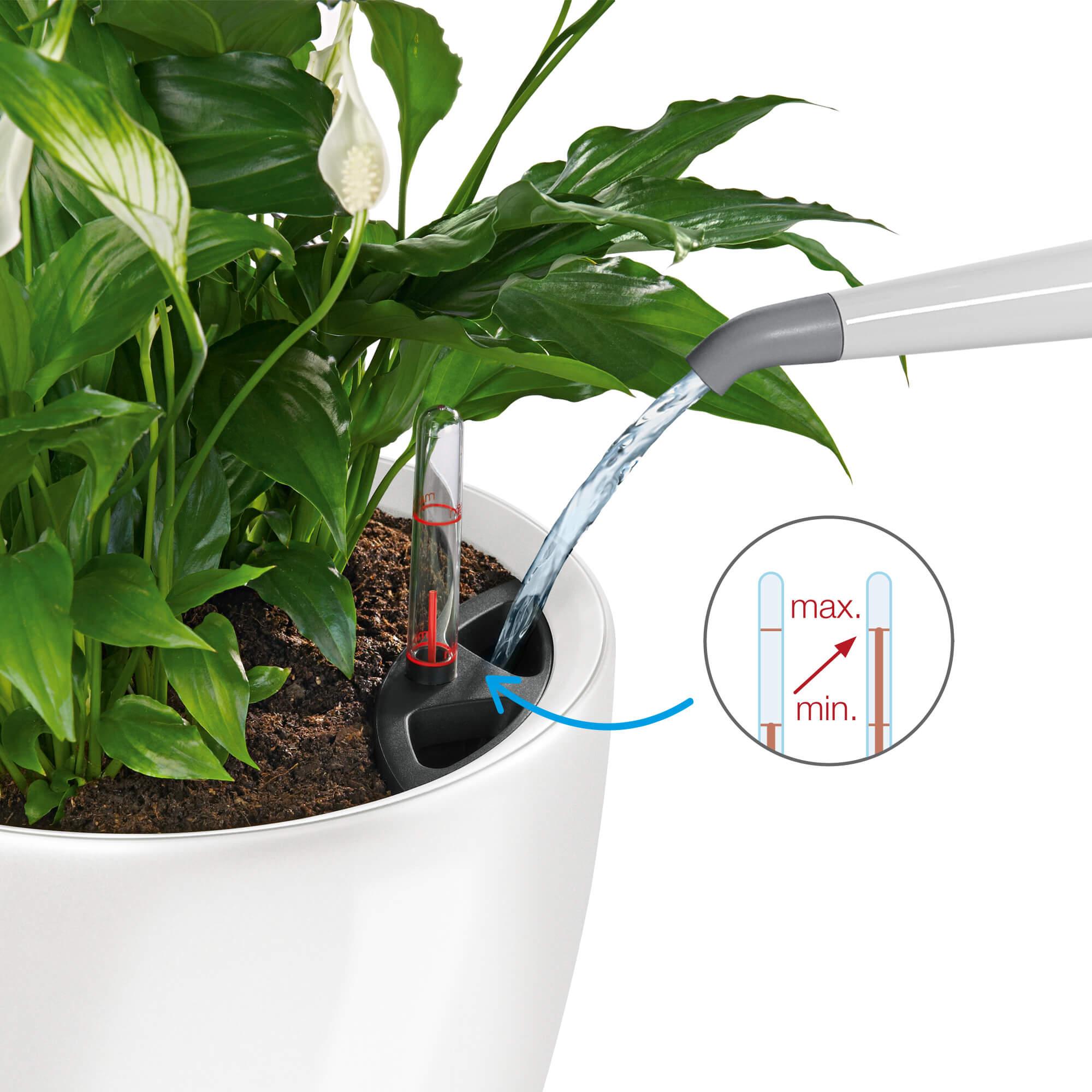 The LECHUZA subirrigation system