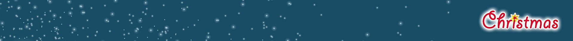 pdp_worldBanner_miraculous,christmas