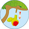 Alle Playmobil gartenhaus aufgelistet