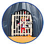 6679 featureimage jail