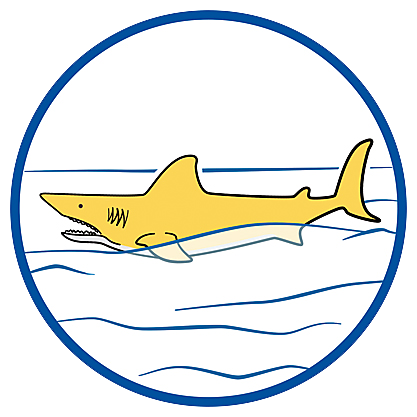 70097 featureimage shark floats