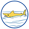 70097 featureimage Hai schwimmt