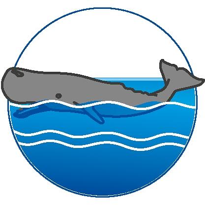 7998 featureimage Flotte