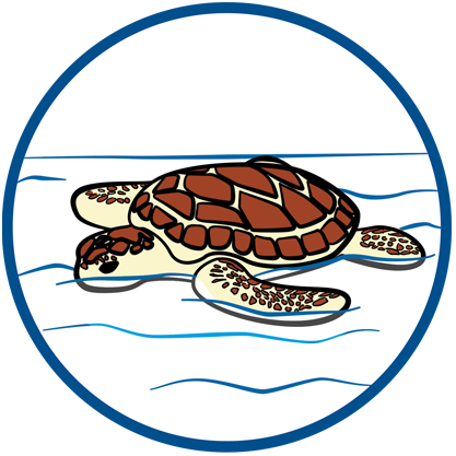 9071 featureimage floats